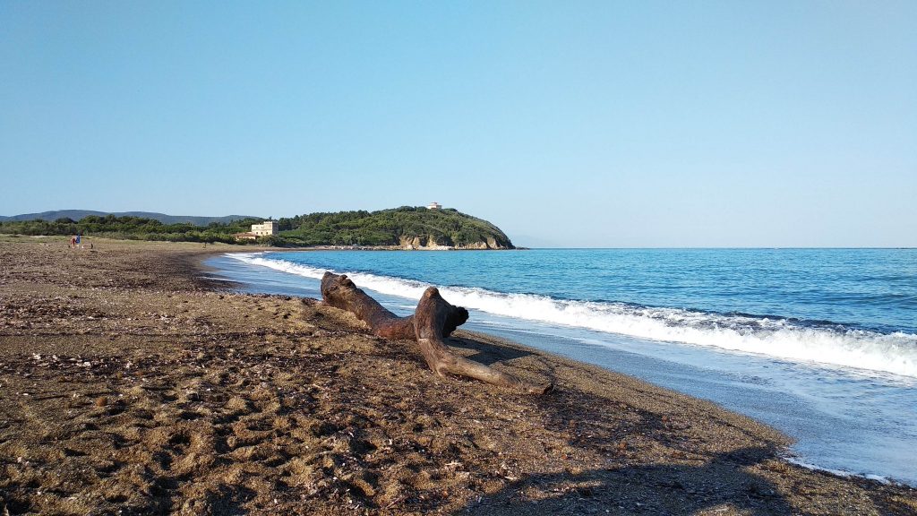 Itinerario a piedi dalla spiaggia della Torraccia a San Vincenzo
