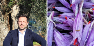 Lo zafferano dell'azienda Punto Zero