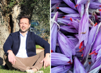 Lo zafferano dell'azienda Punto Zero