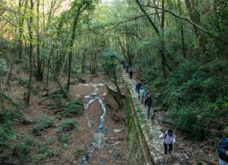 Alla scoperta dell'Acquedotto di Colognole
