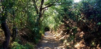 Sentiero 1 Suvereto Trekking