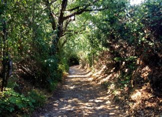Sentiero 1 Suvereto Trekking