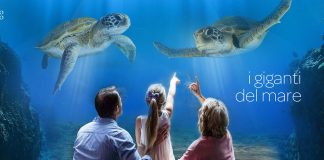acquario di livorno