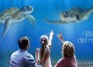 acquario di livorno