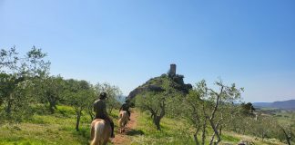 trekking a cavallo
