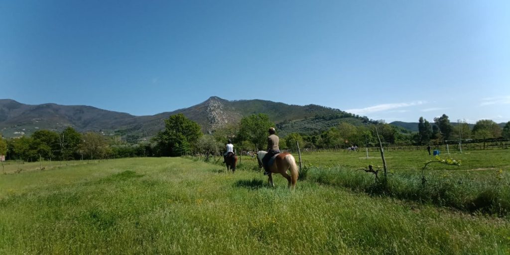 trekking a cavallo