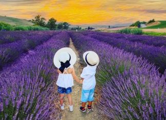 i giorni della lavanda