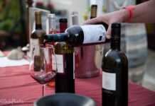 Festa del Vino a Montescudaio Si celebrano i 50 anni dalla nascita della Doc montescudaio