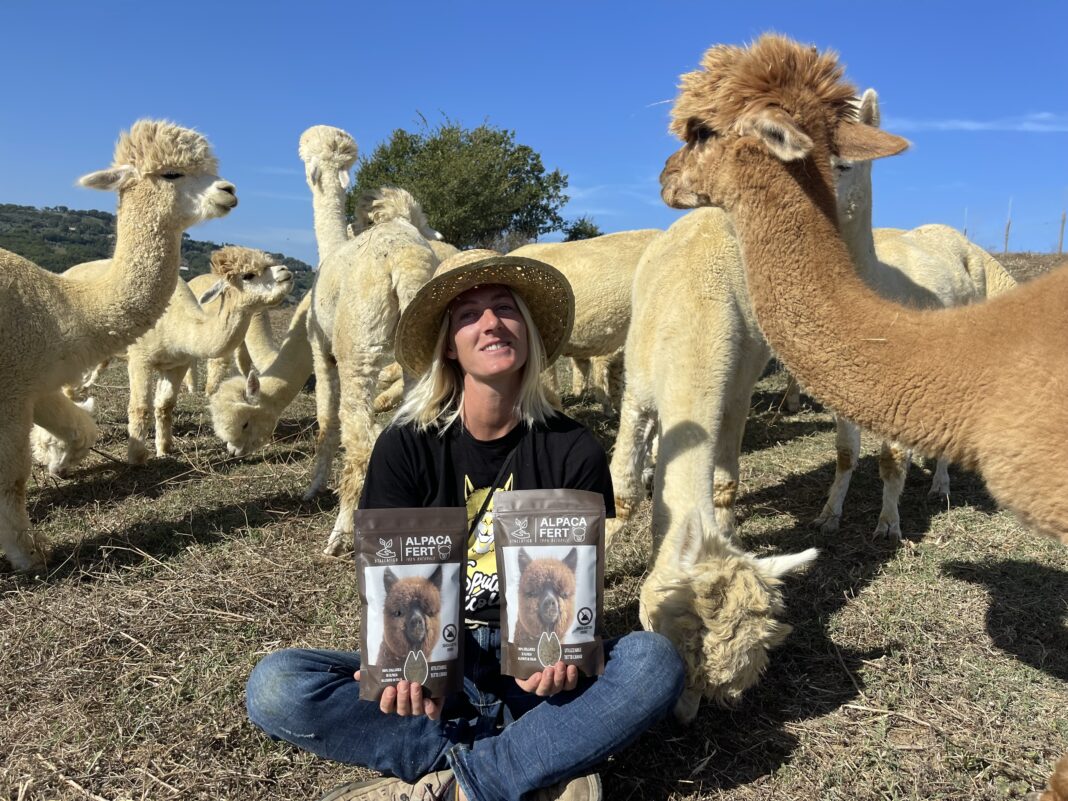 alpaca alpaca