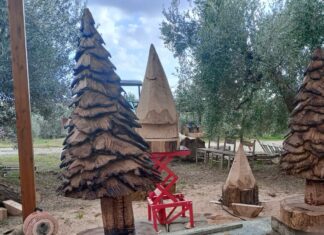 riparbella alberi di Natale