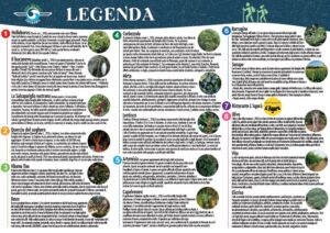 herbis trekking