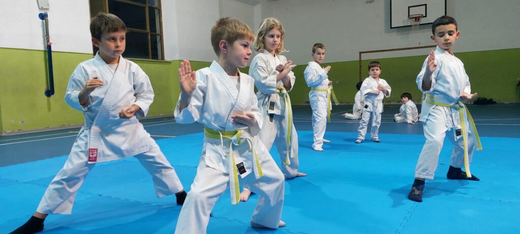 Asd Shin-do Karate Rosignano