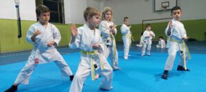 Asd Shin-do Karate Rosignano