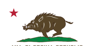 Val di Cecina Republic