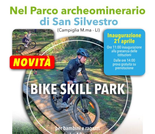 bike skill park