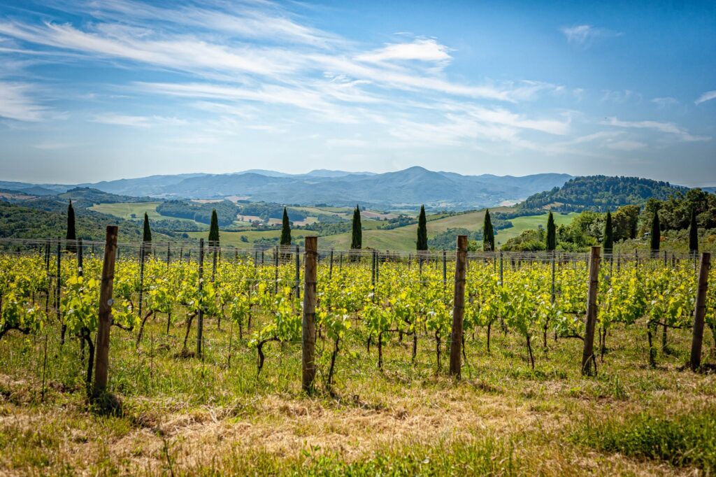 Colline Albelle Julian Renaud