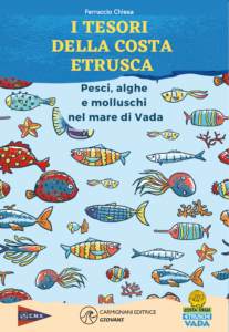 un porto di libri