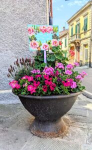 ripafiorita
