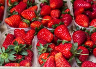 fragola