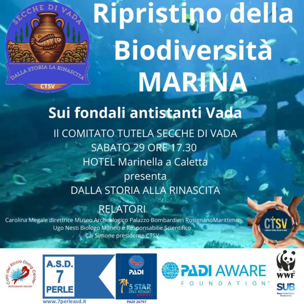 prg compl dalla storia alla rinascita