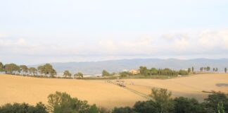archeo-agriturismo