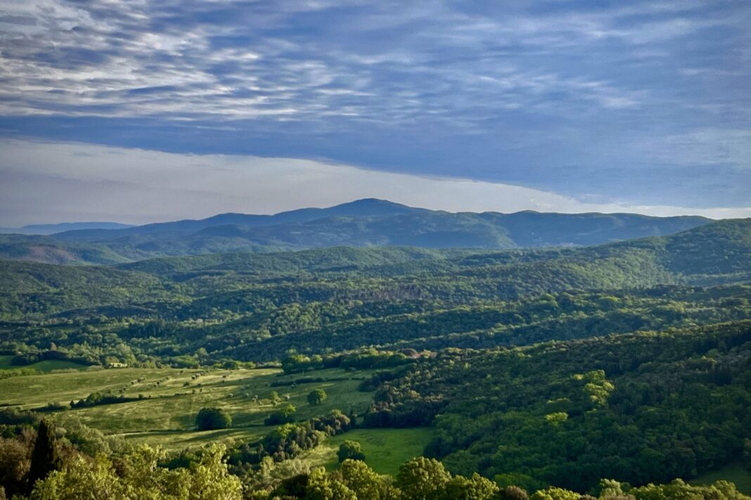 terre di walfredo