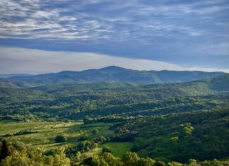 terre di walfredo