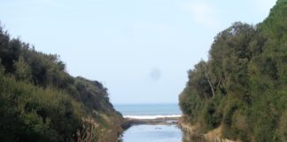 passi di natura sentieri