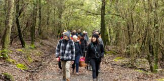 riparbella trekking
