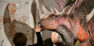 dinosauri certosa