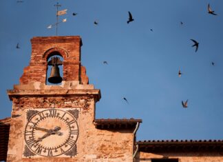 Associazione Rondoni Campigliesi