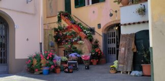 ripafiorita