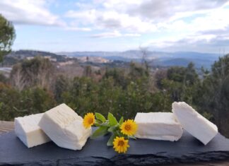 fattoria le ginestre formaggi glamping
