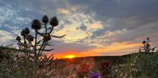 Trekking astronomico riparbella