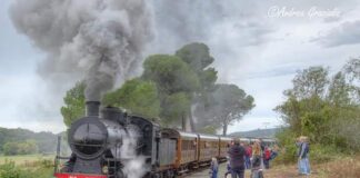 treno storico a vapore Saline di Volterra 2025