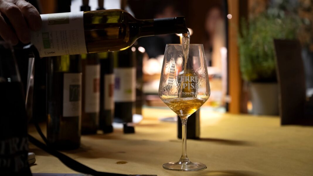 Terre di Pisa Food & Wine Festival