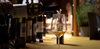 Terre di Pisa Food & Wine Festival