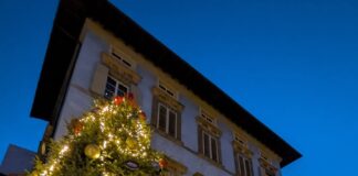 mostra palazzo blu natale pisa