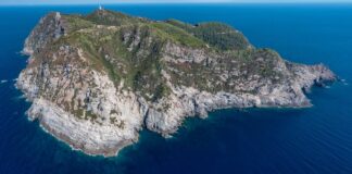 isola gorgona