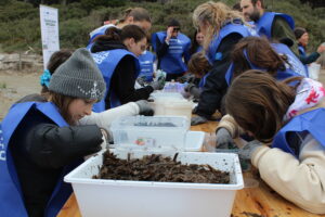 Giovani custodi della spiaggia a Cecina