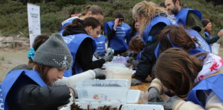Giovani custodi della spiaggia a Cecina