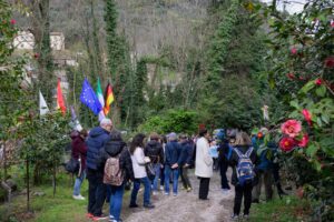 Mostra Camelie 