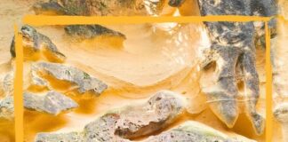 escursione alla scoperta delle Grotte Gialle