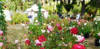 concorso fotografico