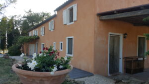 le serre bio Riparbella