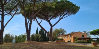 riparbella le serre anello del vino