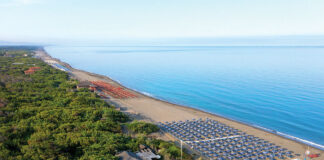 presenze turistiche Bibbona