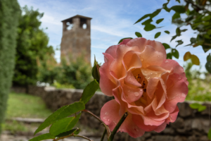“Castello in Fiore”