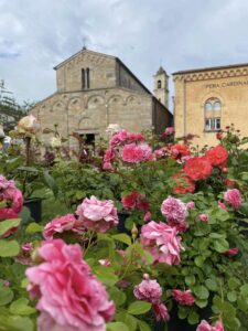 “Castello in Fiore”