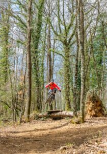 mountain bike